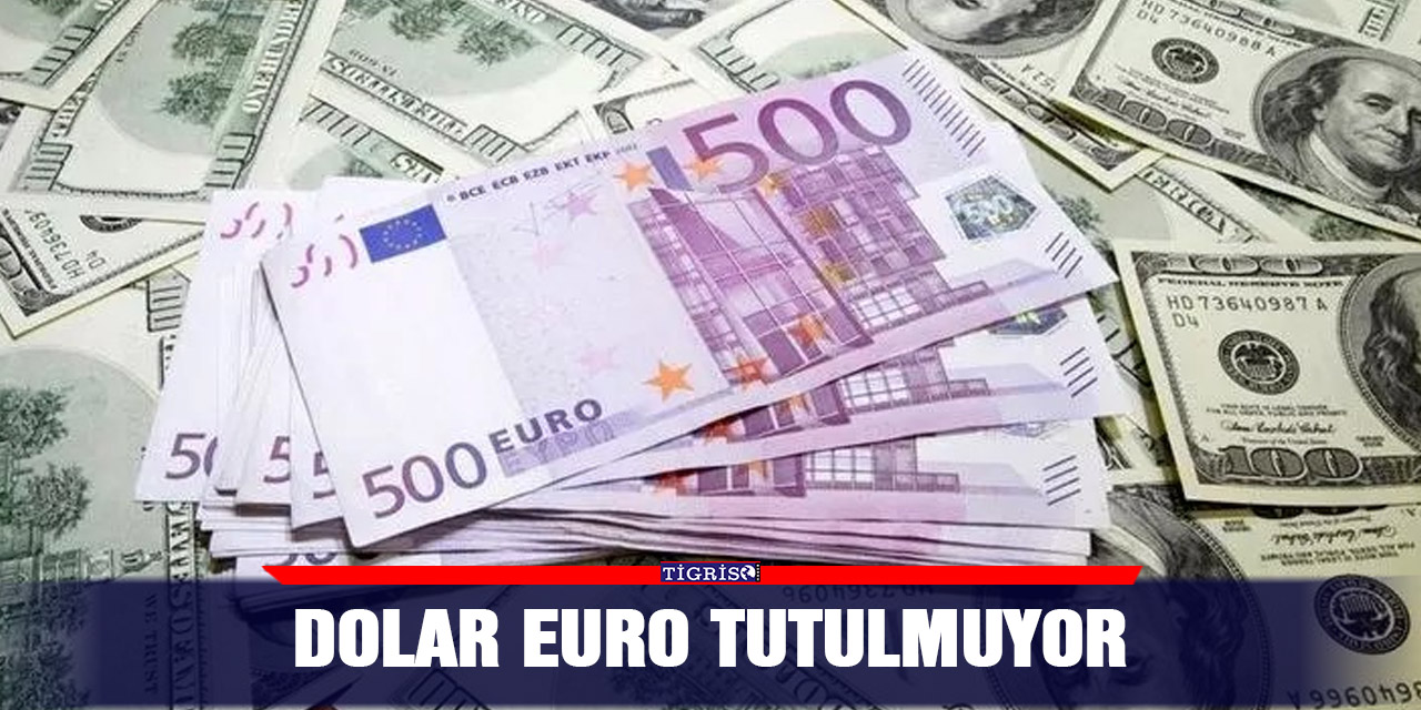 Dolar Euro tutulmuyor