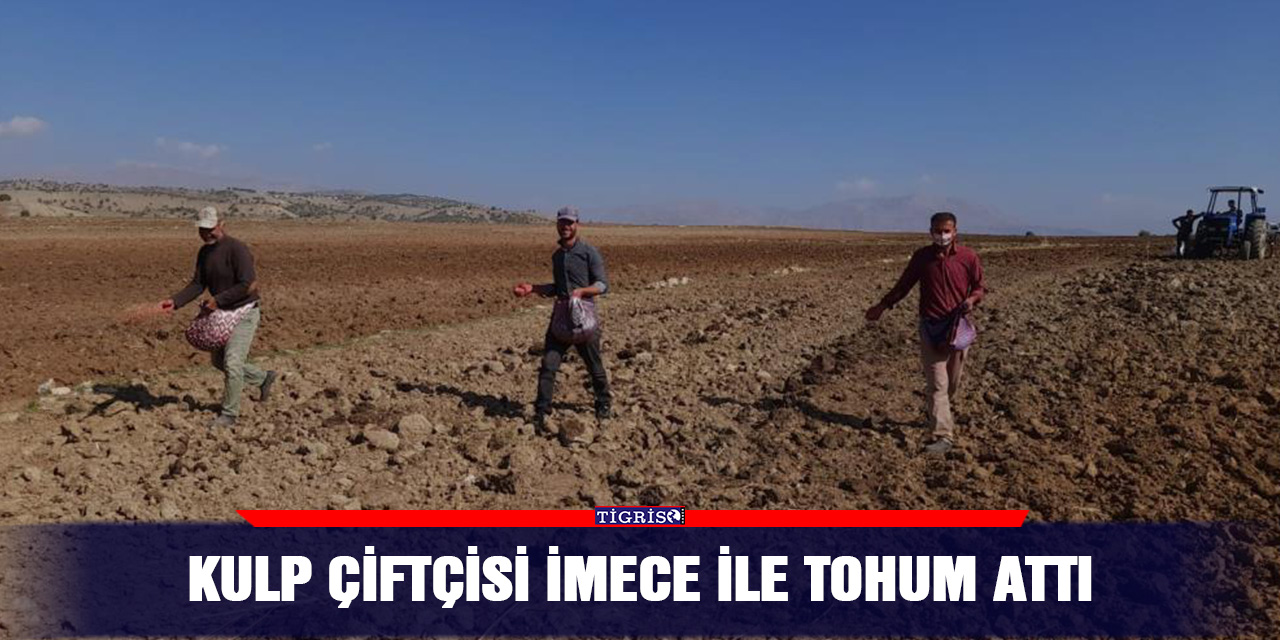 Kulp çiftçisi imece ile tohum attı