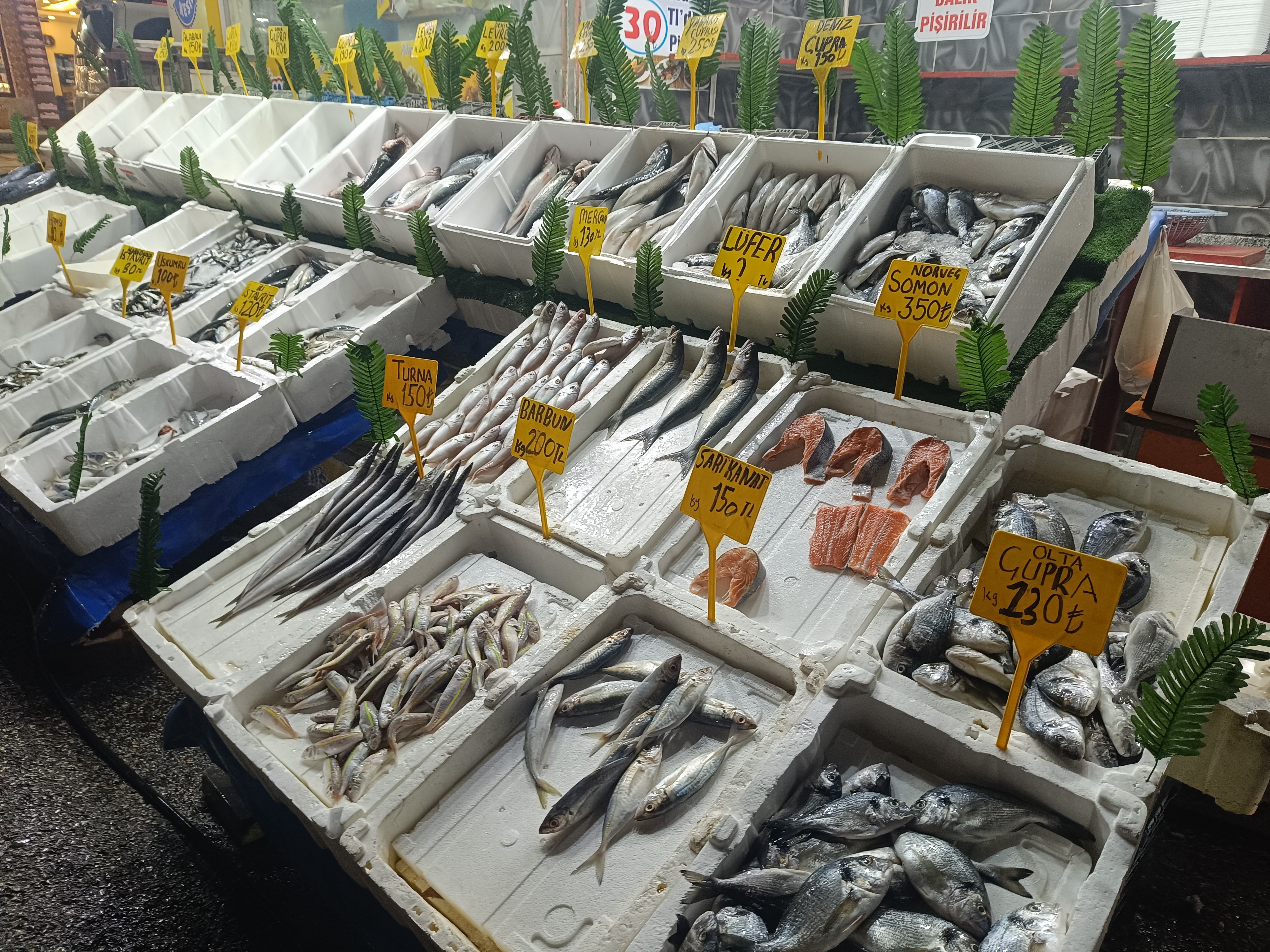 Balık sezonu açıldı, tezgâhlar hareketlendi