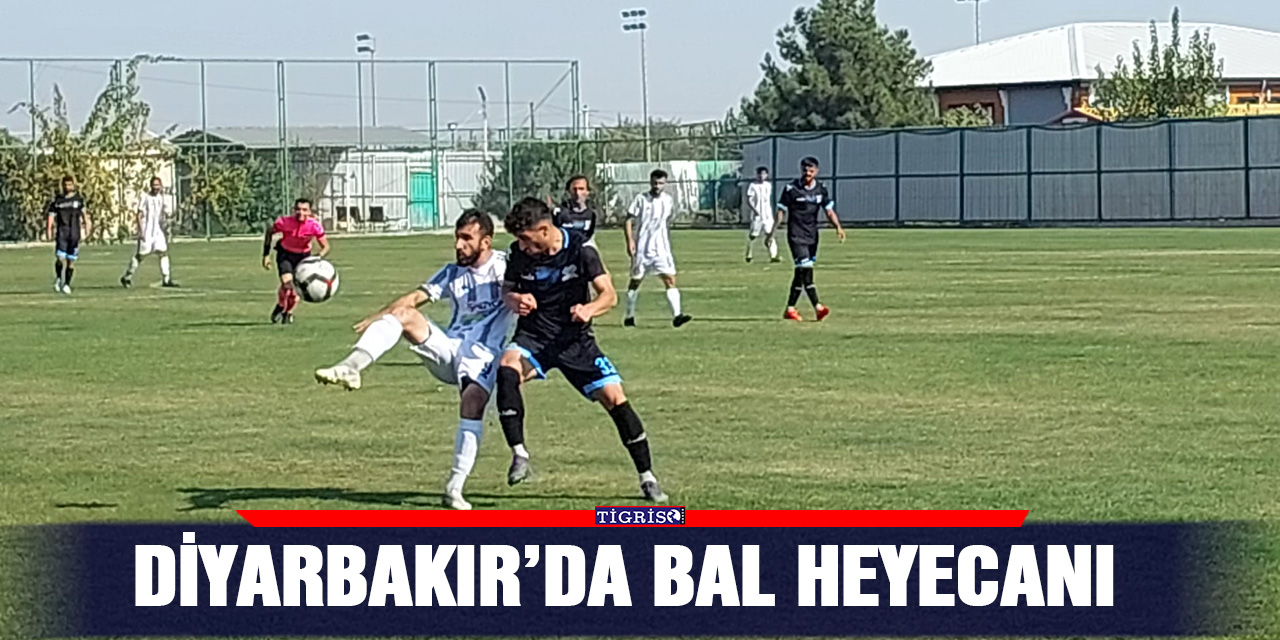 Diyarbakır’da BAL heyecanı