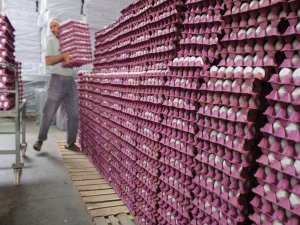 Irak'a giden yumurta sayısı da azaldı