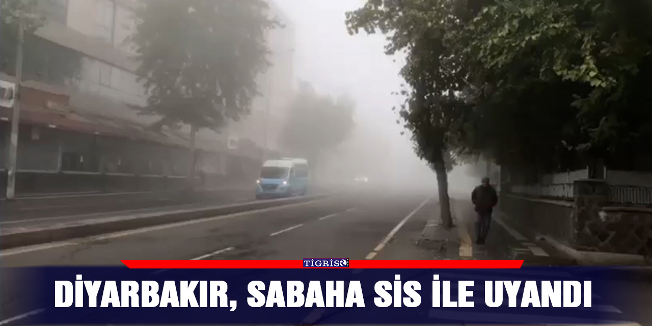 VİDEO - Diyarbakır, sabaha sis ile uyandı