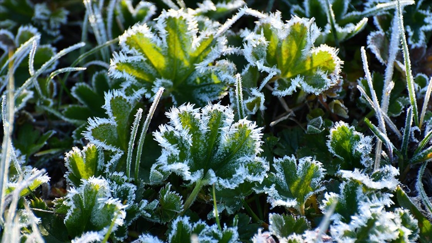 Kars, Ardahan ve Erzurum'da soğuk hava etkili oldu