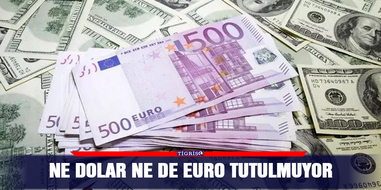 Ne dolar ne de euro tutulmuyor