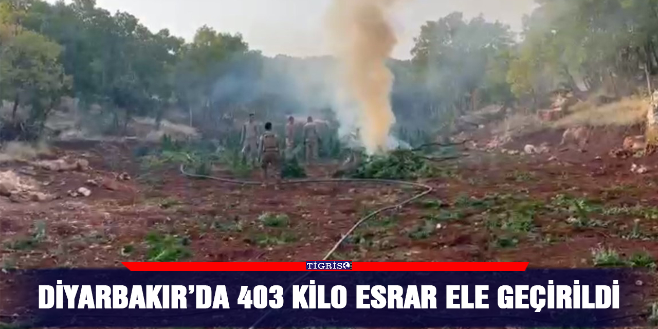 Diyarbakır’da 403 kilo esrar ele geçirildi