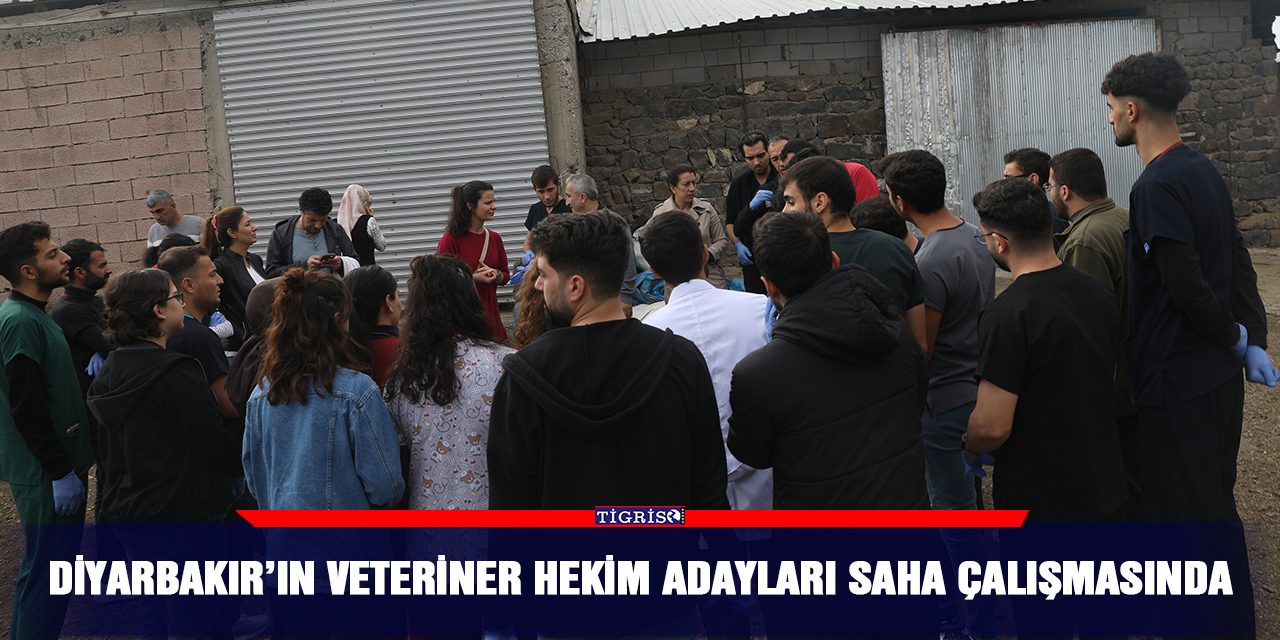 Diyarbakır’ın veteriner hekim adayları saha çalışmasında