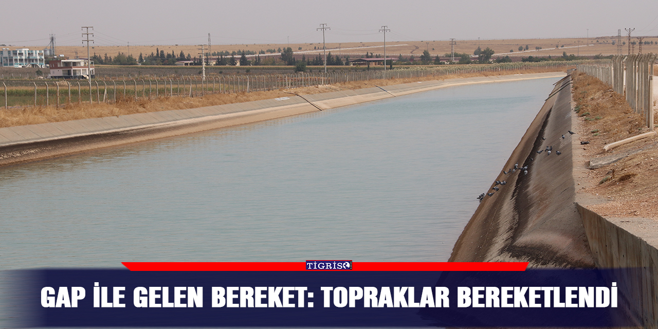 GAP ile gelen bereket: Topraklar bereketlendi