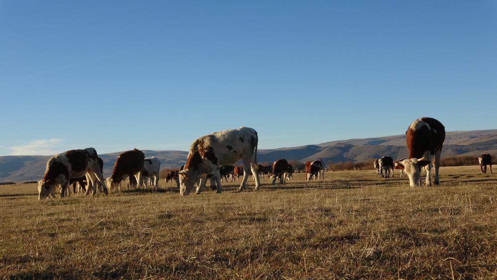 Çiftçiler sıcak havadan memnun