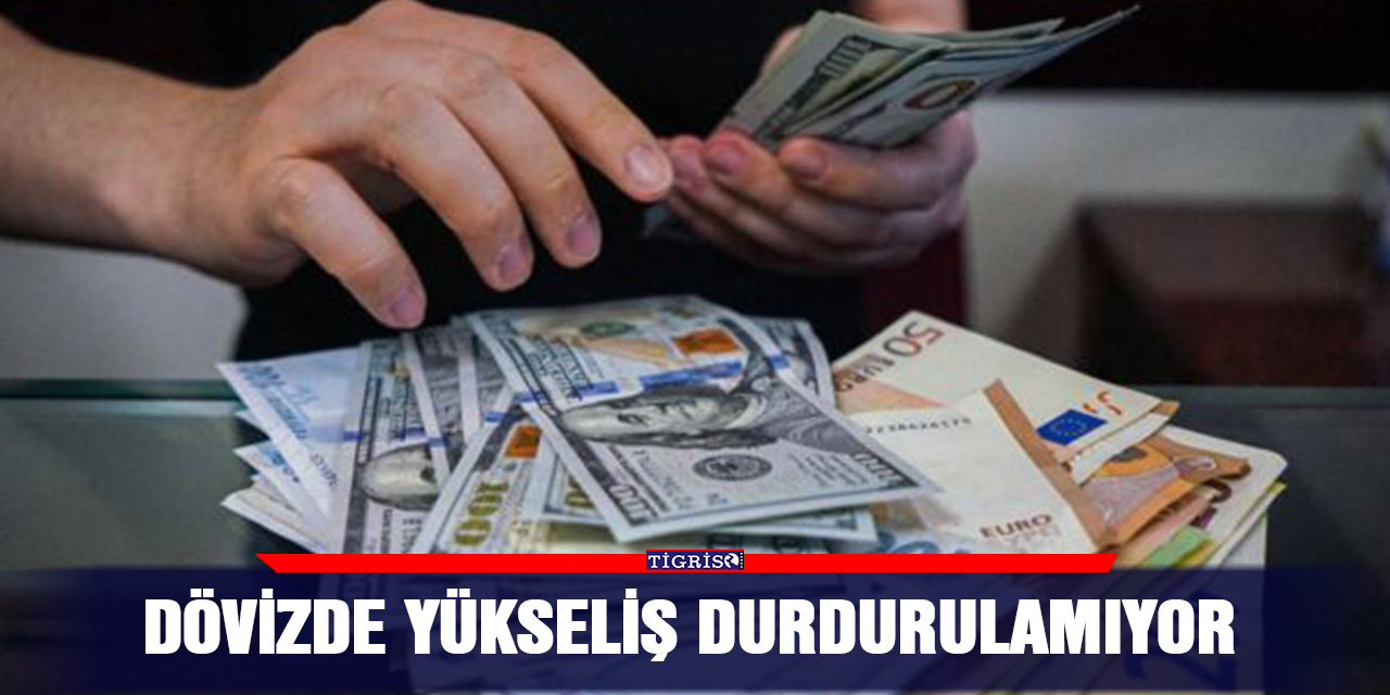 Dövizde yükseliş durdurulamıyor
