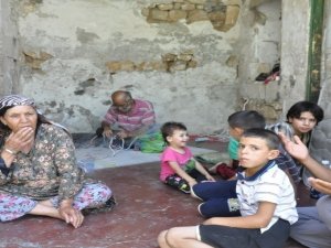 Mülteciler ülkelerine dönmek istiyor