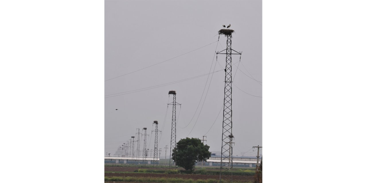 Dicle Elektrik, leylekler için yuva yaptı