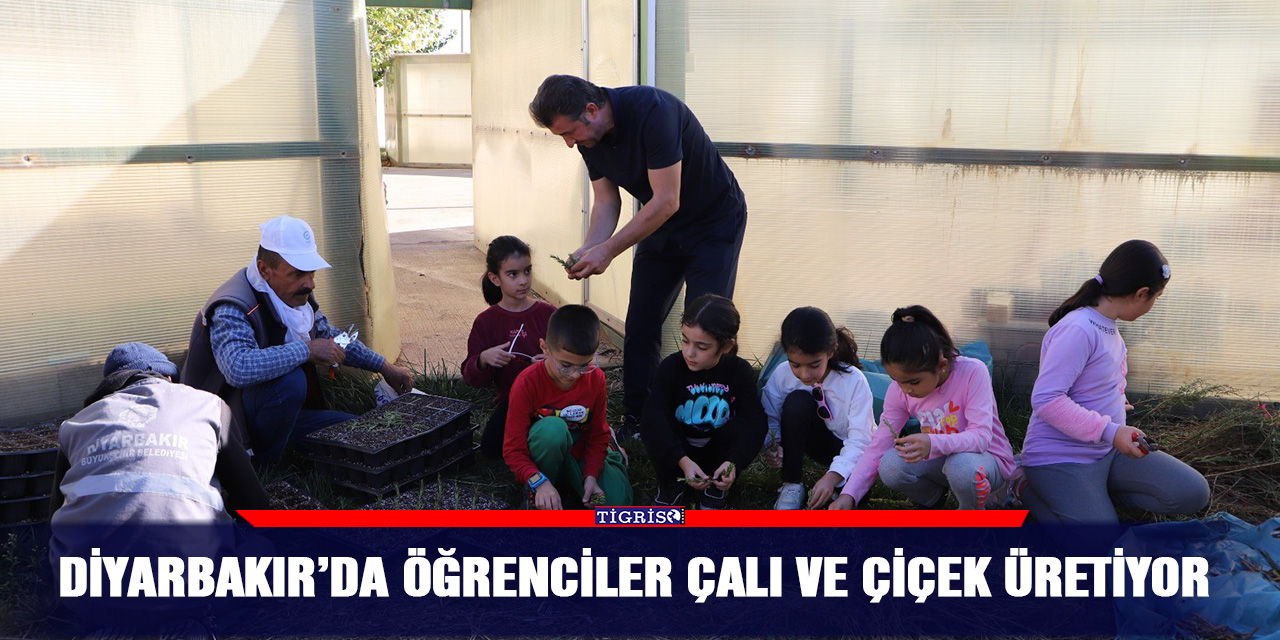 Diyarbakır’da öğrenciler çalı ve çiçek üretiyor