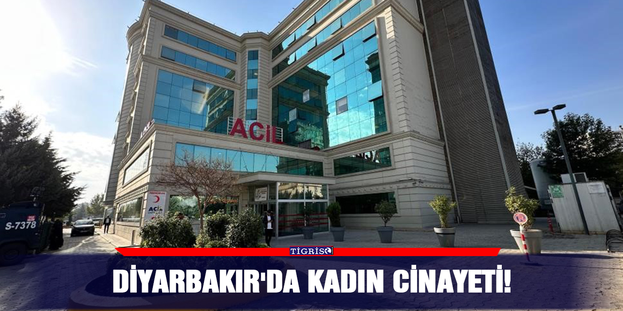 Diyarbakır'da kadın cinayeti!