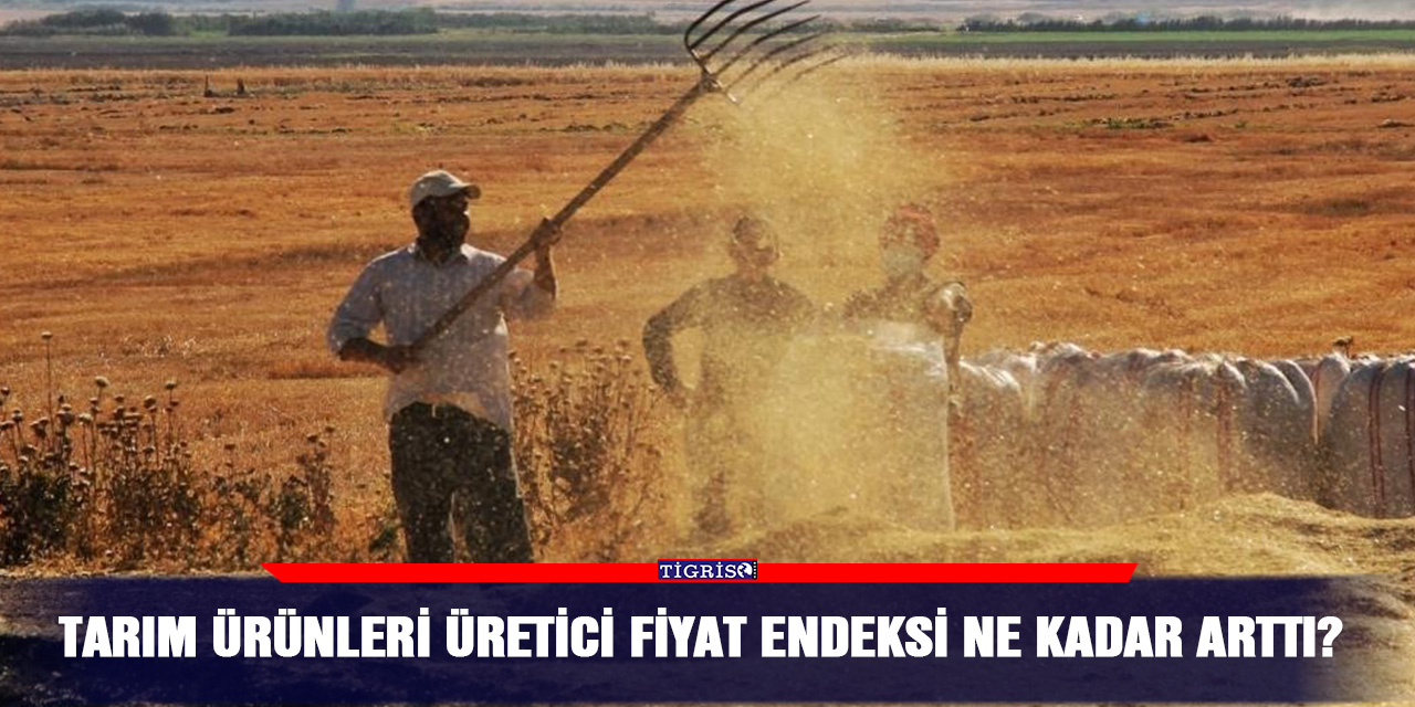 Tarım ürünleri üretici fiyat endeksi ne kadar arttı?