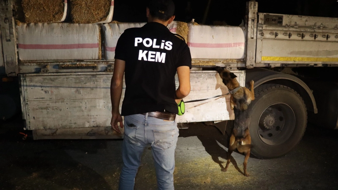 Saman yüklü TIR’da kaç kilo esrar yakalandı?