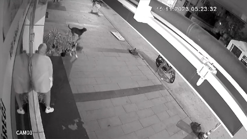 Köpek saldırısı kameralarda!