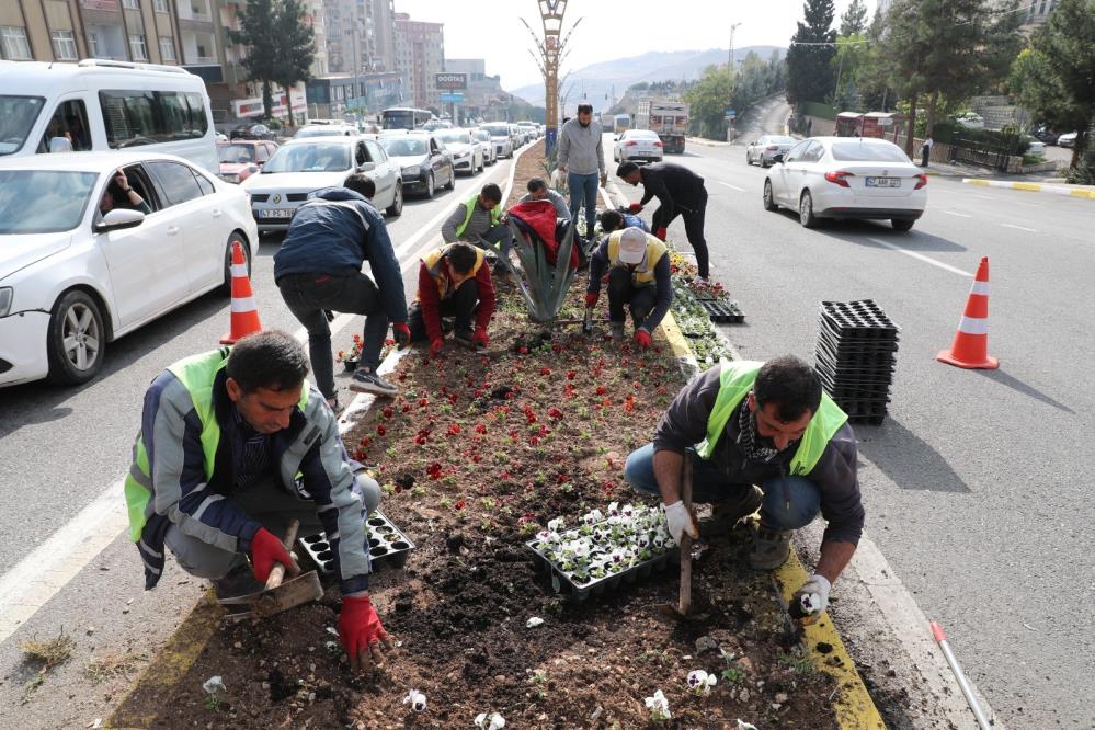 Mardin'de 110 bin çiçek kavşak ve refüjlere dikildi