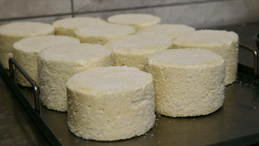 Mengen'in coğrafi işaretli peynirinin ünü yayılıyor