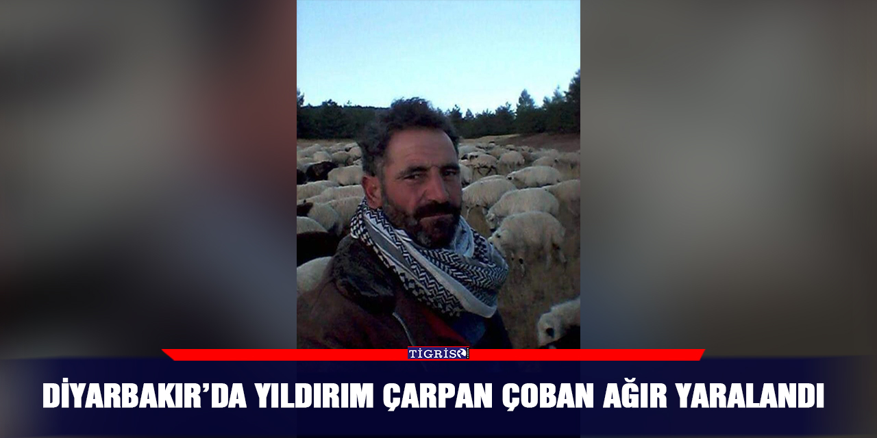 Diyarbakır’da yıldırım çarpan çoban ağır yaralandı