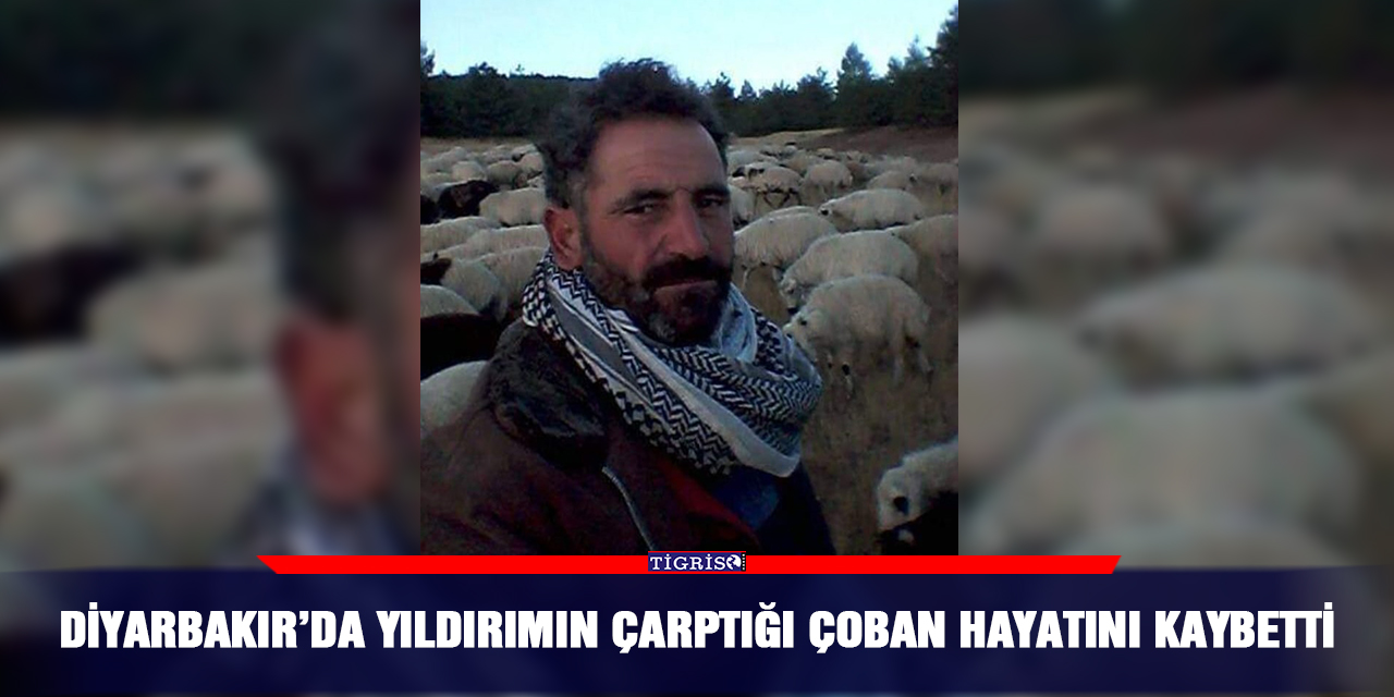Diyarbakır’da yıldırımın çarptığı çoban hayatını kaybetti