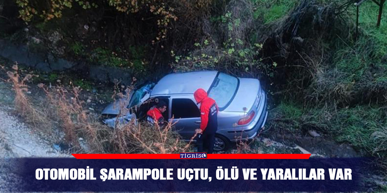 Otomobil şarampole uçtu, ölü ve yaralılar var