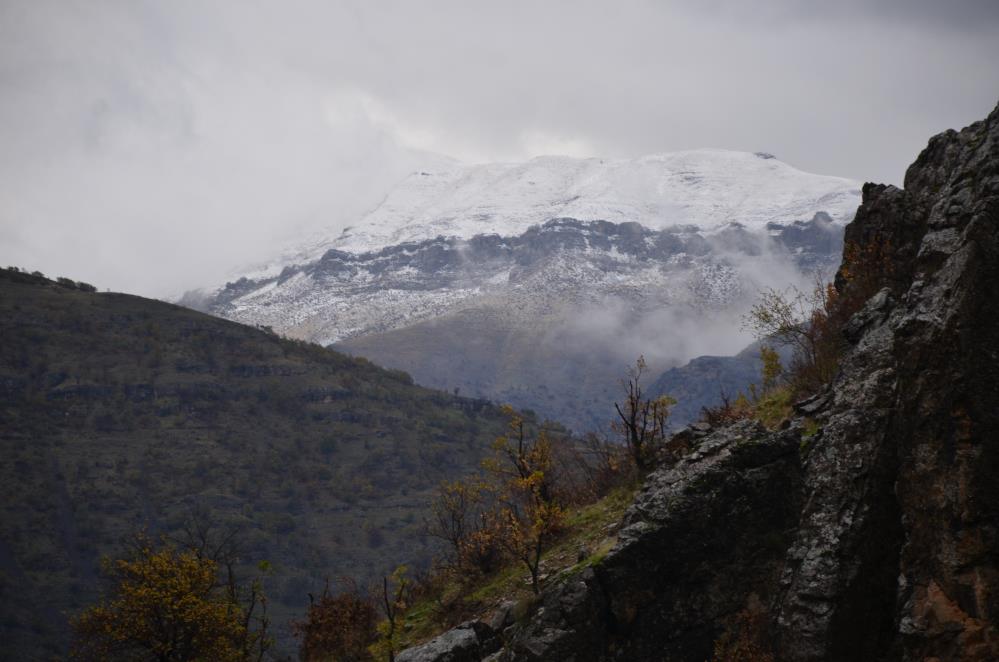 Yağışlar su seviyesini yükseltti