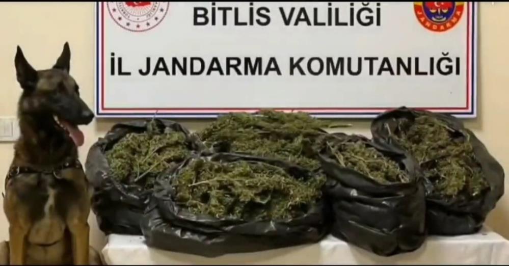 Bitlis’te 10 kilo skunk yakalandı