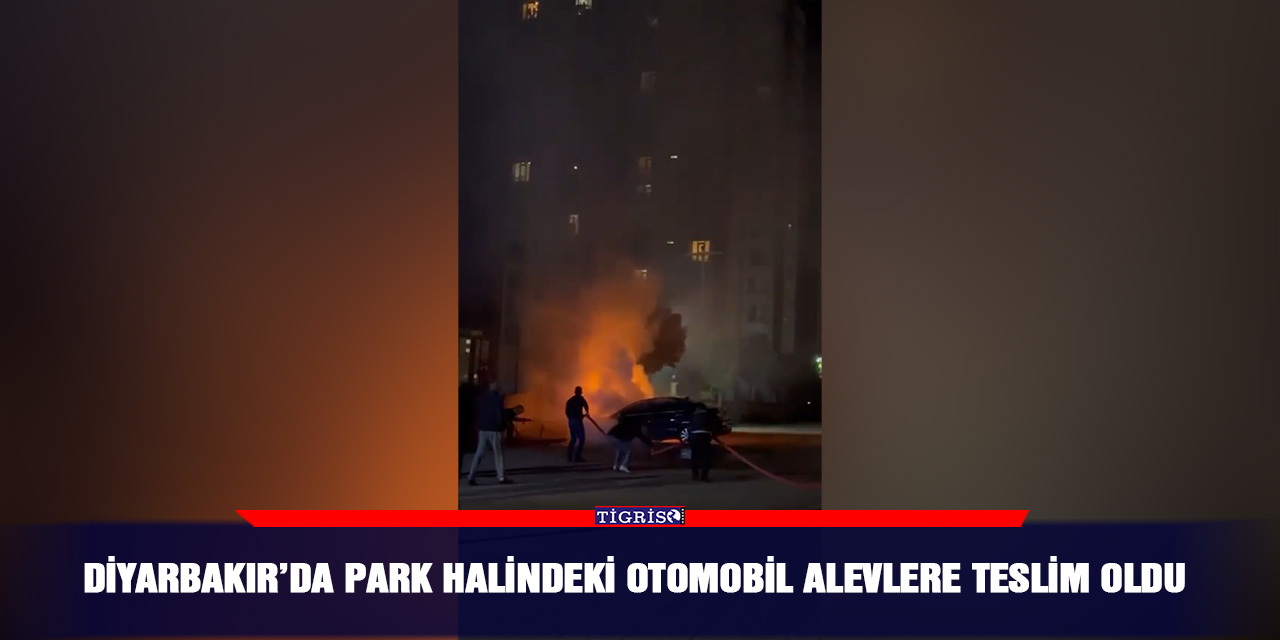 VİDEO - Diyarbakır’da park halindeki otomobil alevlere teslim oldu
