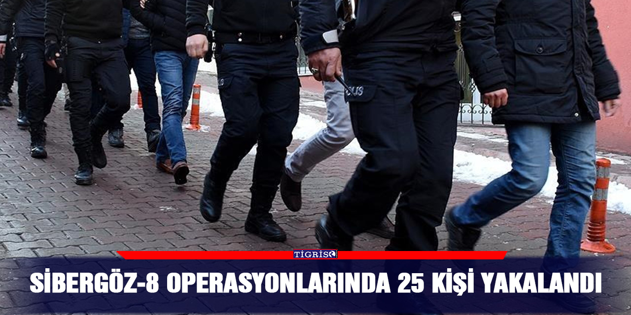 Sibergöz-8 operasyonlarında 25 kişi yakalandı