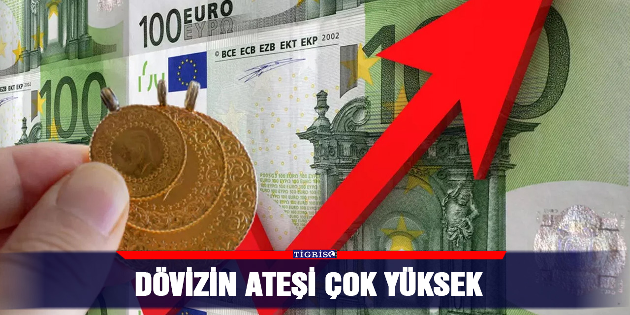Dövizin ateşi çok yüksek