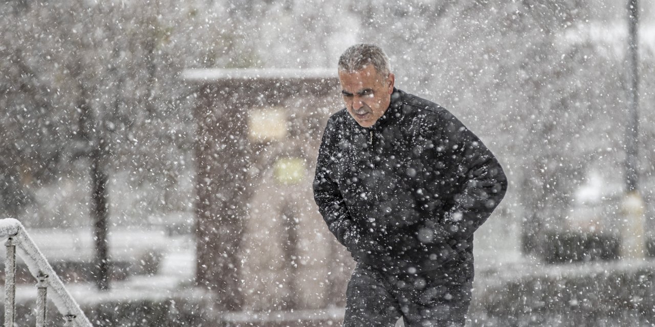 Doğu Anadolu'da kar etkili oluyor