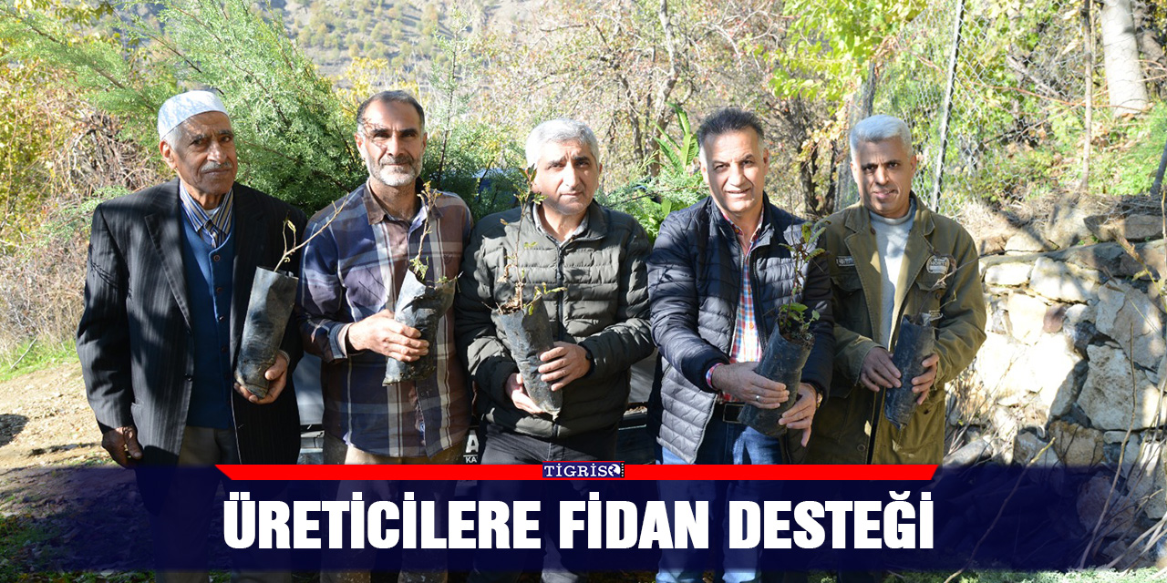 Üreticilere fidan desteği