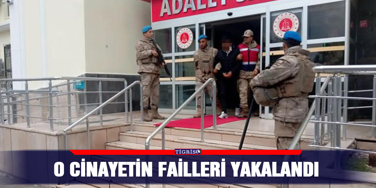 O cinayetin failleri yakalandı