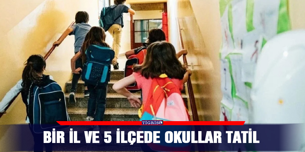 Bir il ve 5 ilçede okullar tatil