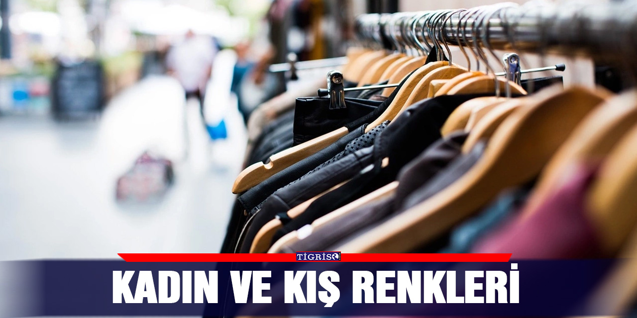 Kadın ve kış renkleri