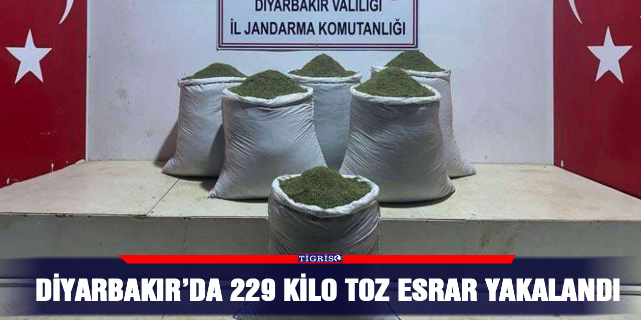 Diyarbakır’da 229 kilo toz esrar yakalandı