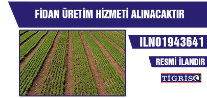FİDAN ÜRETİM HİZMETİ ALINACAKTIR