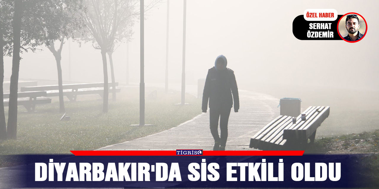 VİDEO - Diyarbakır'da sis etkili oldu