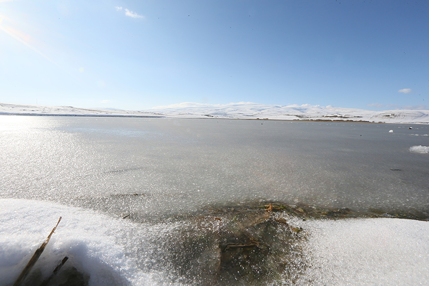Çıldır Gölü yüzeyi soğuk havanın etkisiyle dondu