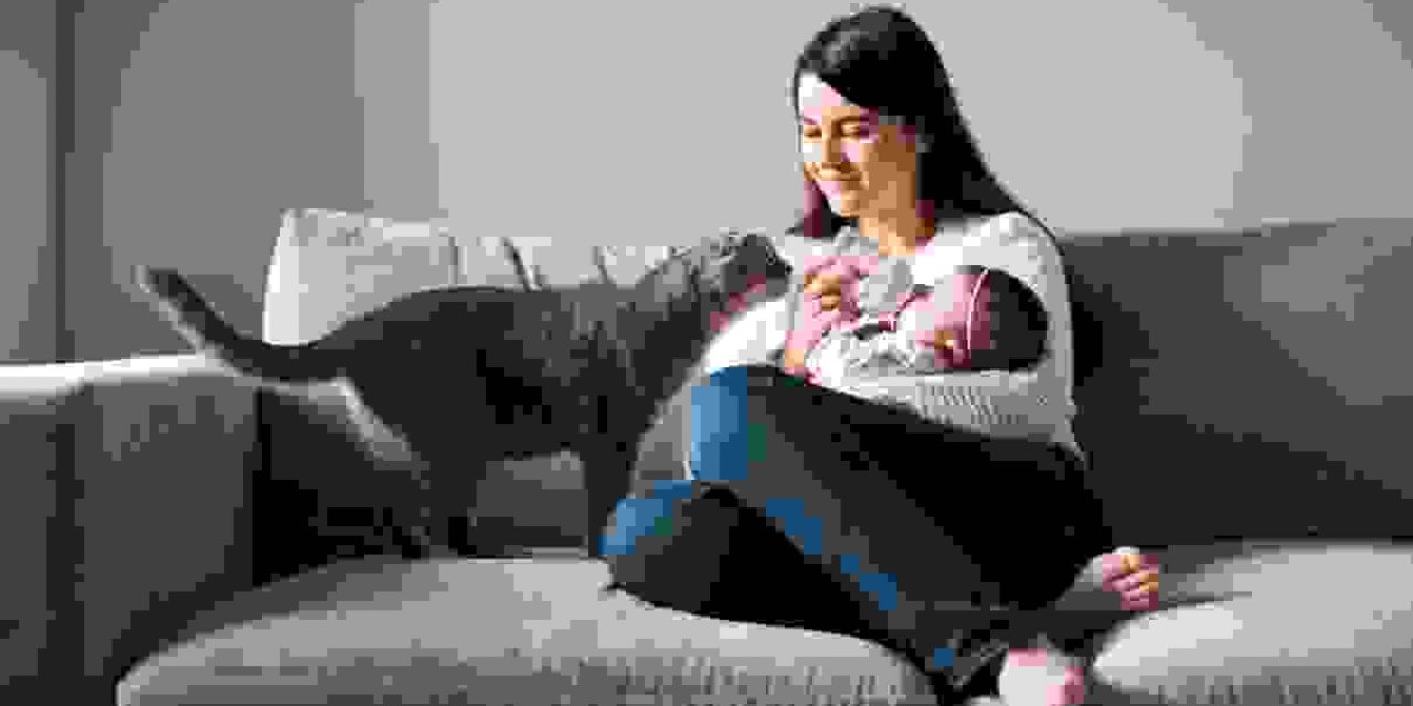 KEDİLER VE KADINLAR: BİRLİKTE YAŞAYAN İKİ RUH