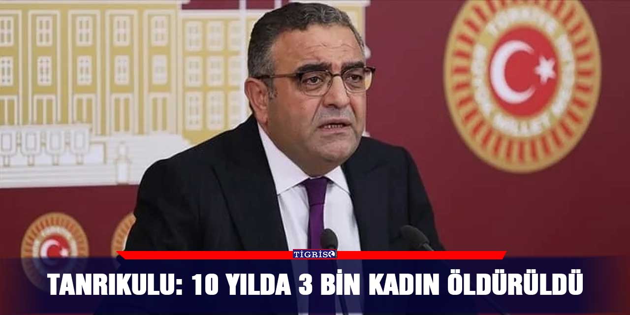 VİDEO - Tanrıkulu: 10 yılda 3 bin kadın öldürüldü