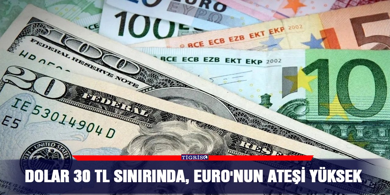 Dolar 30 TL Sınırında, Euro'nun Ateşi Yüksek