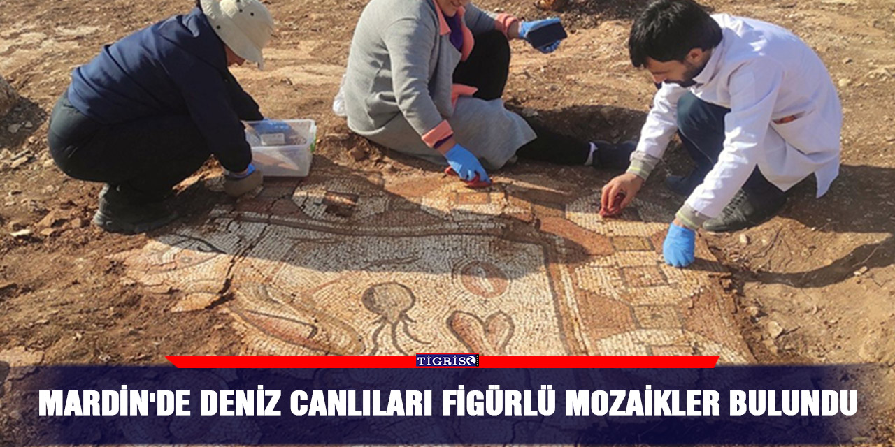 Mardin'de deniz canlıları figürlü mozaikler bulundu