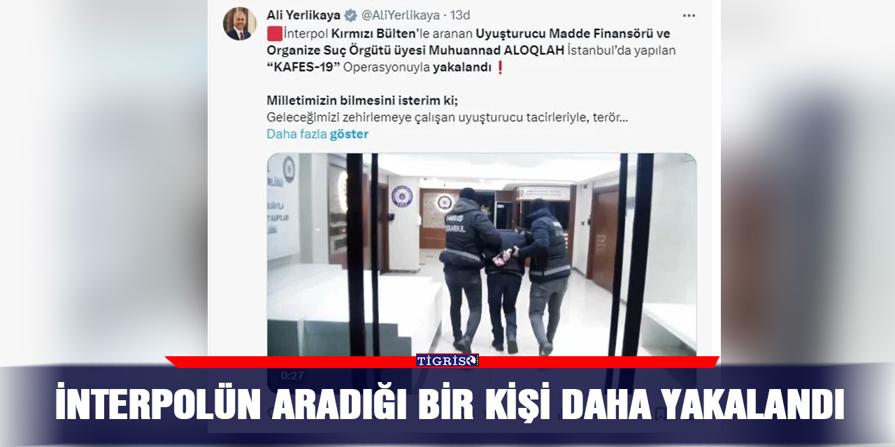 VİDEO - İnterpolün aradığı bir kişi daha yakalandı
