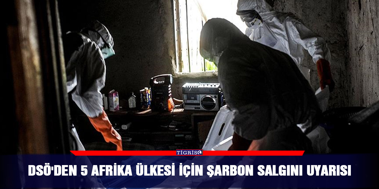 DSÖ'den 5 Afrika ülkesi için şarbon salgını uyarısı