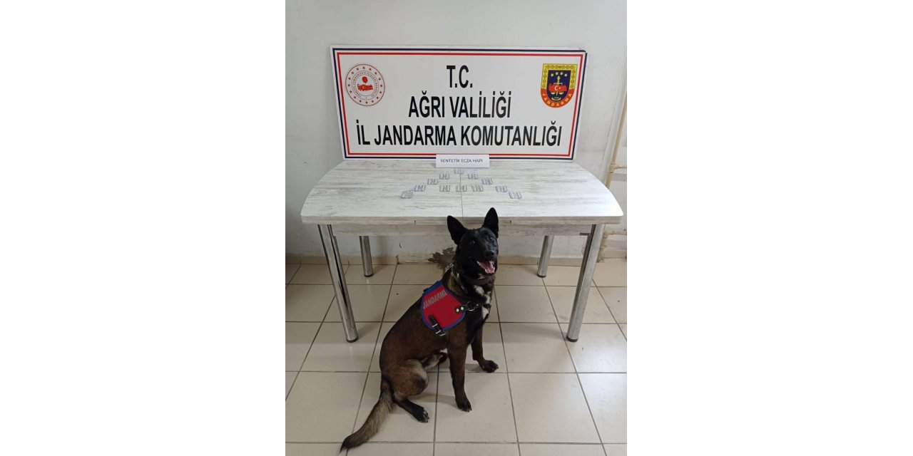 Yolcu otobüsünde uyuşturucu yakalandı