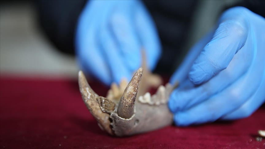 Mardin'de roma dönemine ait kemikler bulundu