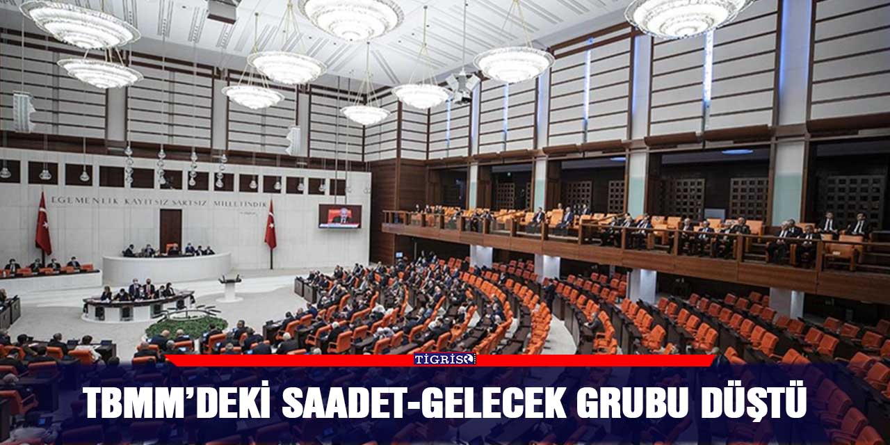 TBMM’deki Saadet-Gelecek grubu düştü