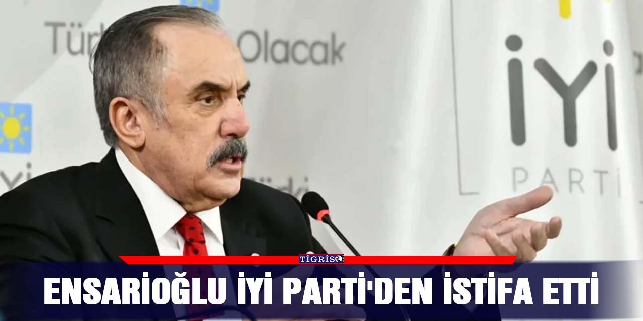 Ensarioğlu İYİ Parti'den istifa etti