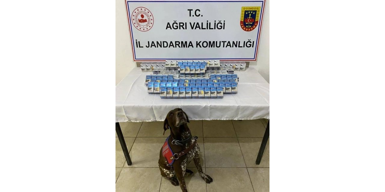 Ağrı’da kaçak sigara ele geçirildi